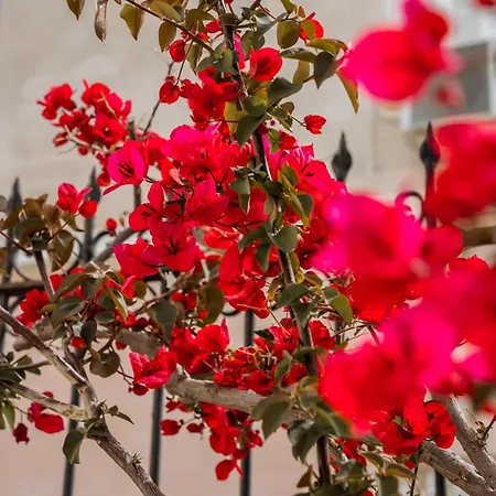 Hotel Archontiko Eleni 2*