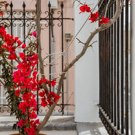 Archontiko Eleni Hotel Ándros