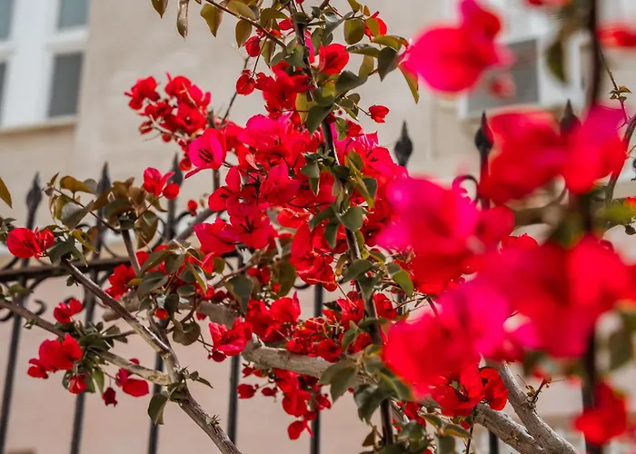 Ξενοδοχείο Archontiko Eleni 2*