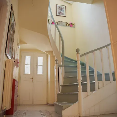 Archontiko Eleni Hotel Andros Town