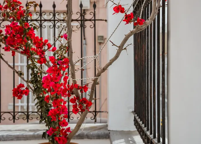 Archontiko Eleni Hotell Ándros